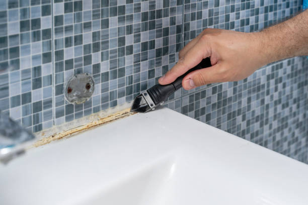 Mold Removal Process in Harbison Canyon, CA